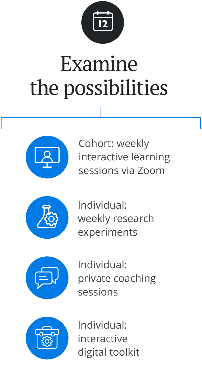 12 weeks of intensive immersion virtual program infographi